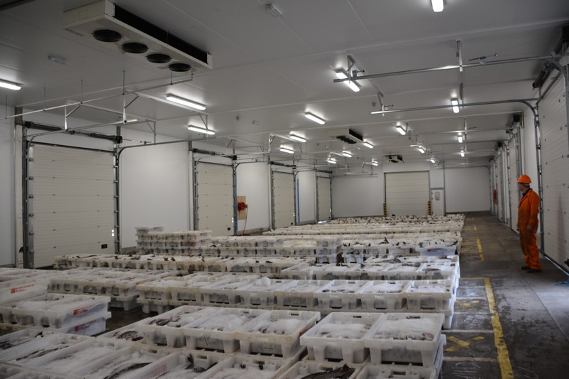 Impianto di refrigerazione industriale per il settore carni e pesce