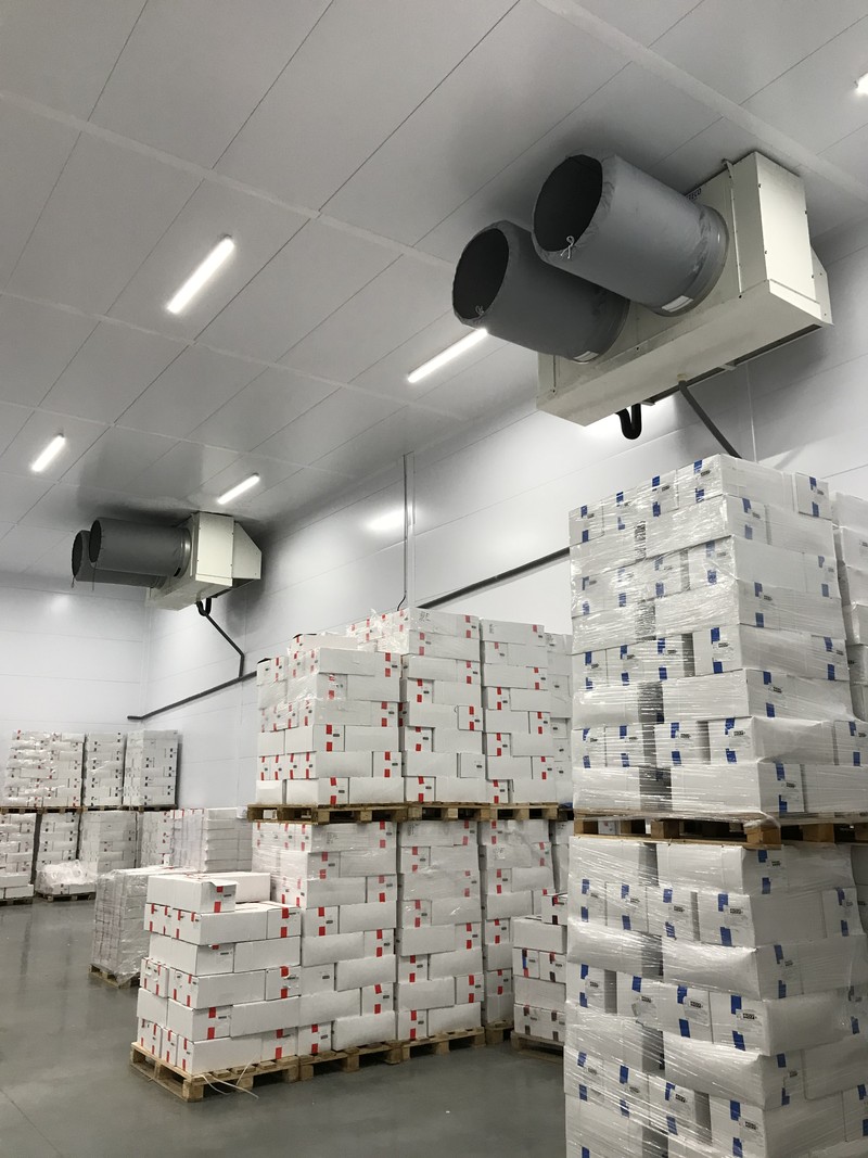 Cella di conservazione con due aeroevaporatori a soffitto e pallet di scatole